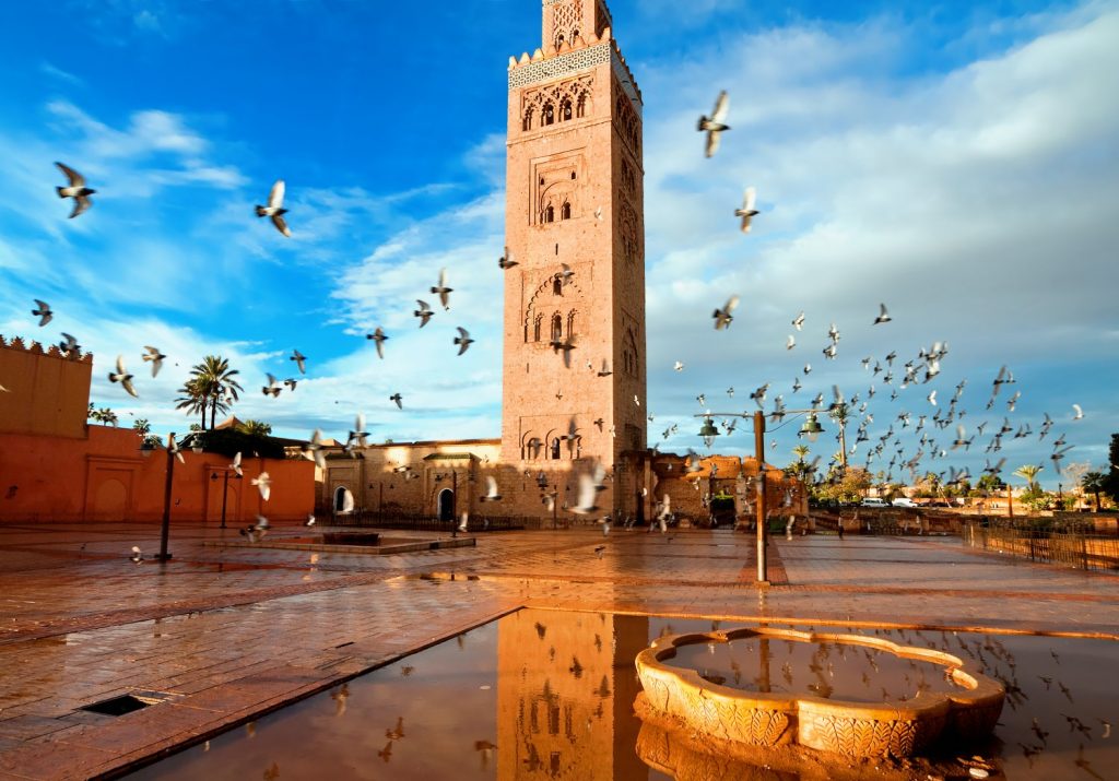 Tours in Marrakech Morocco